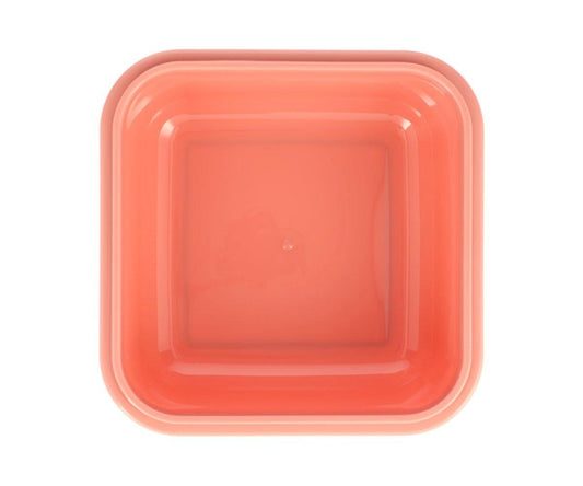 Caja Almuerzo Grande Wild Fairies