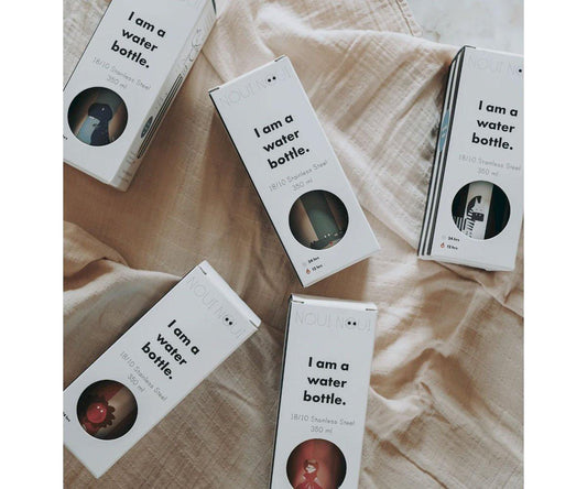 Botella de Acero Térmica Noui Noui Lion