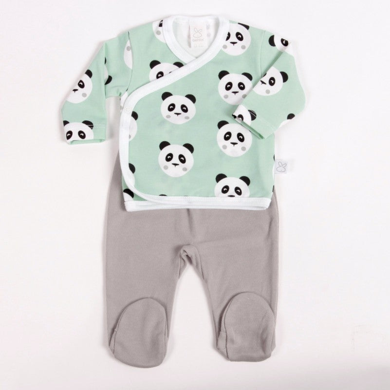 Primera puesta TOMY VERDE