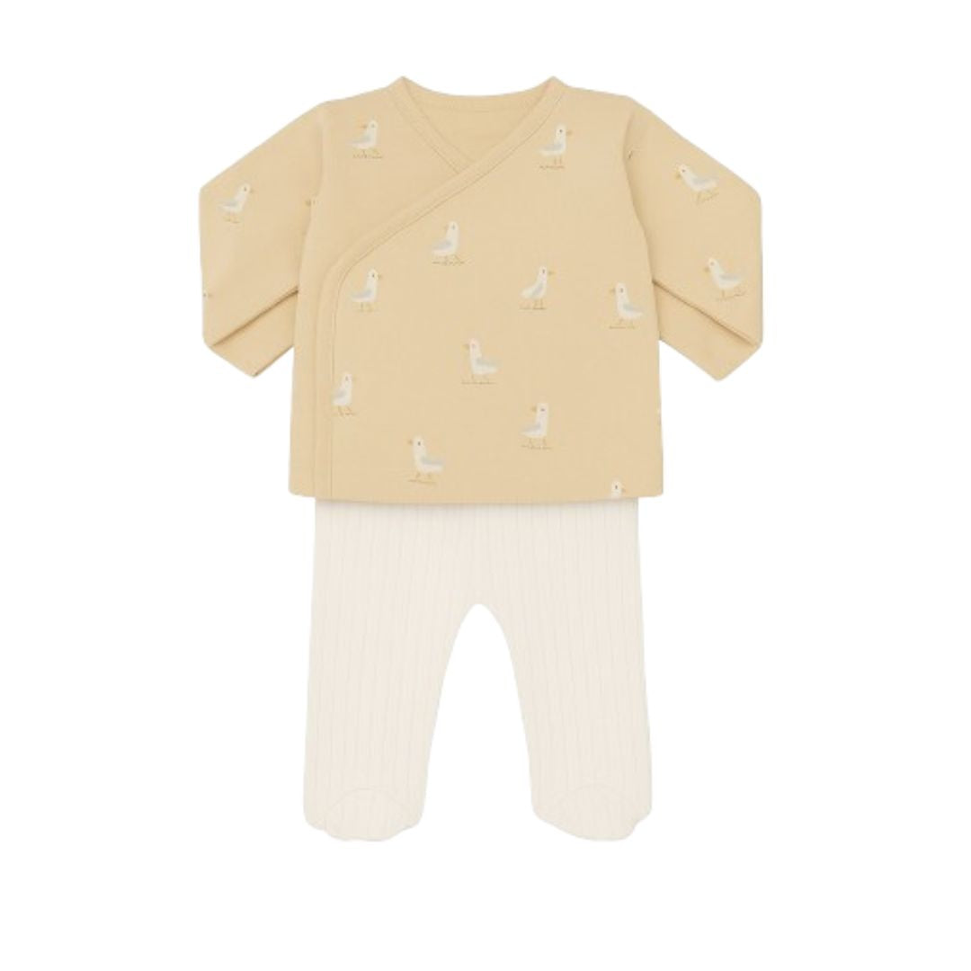 Primera Puesta Gaviotas Algodón Orgánico