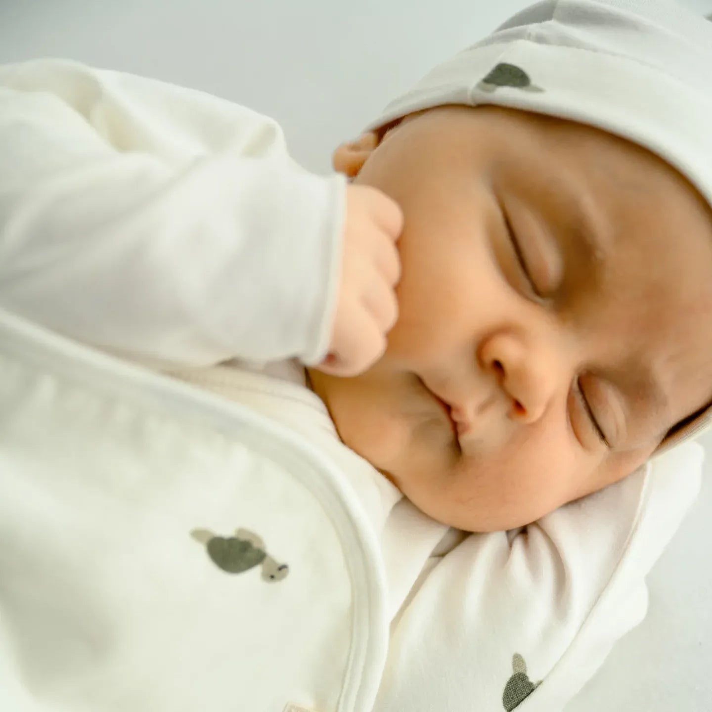 Set Canastilla Tortugas Algodón Orgánico