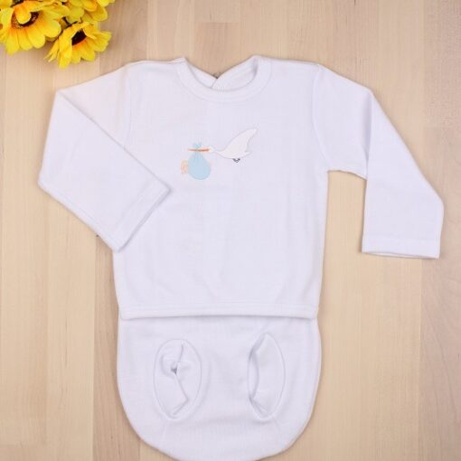 Conjunto primera puesta cigüeña