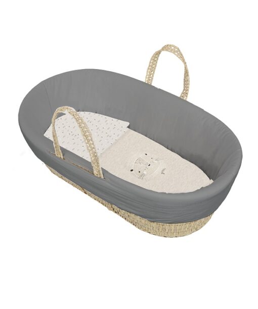 Moises para bebe completo